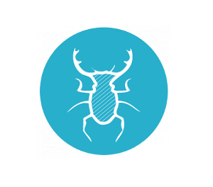 Як ProstoHOUSE вирішує проблему з гризунами та комахами?