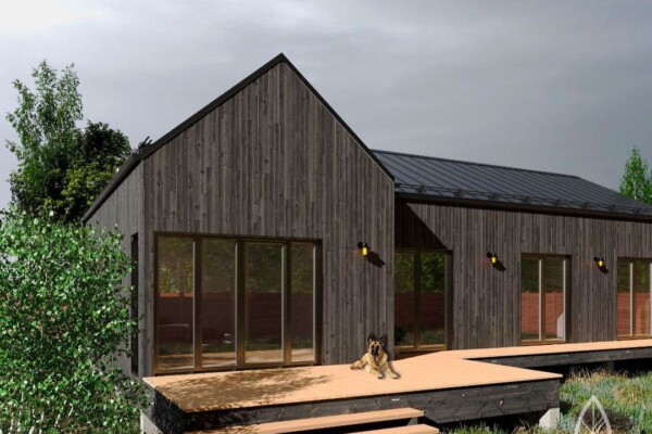 Будинок у стилі Barnhouse – просторе інноваційне житло