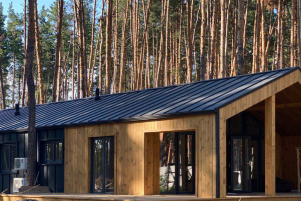 Стисло про будівництво каркасних будинків.